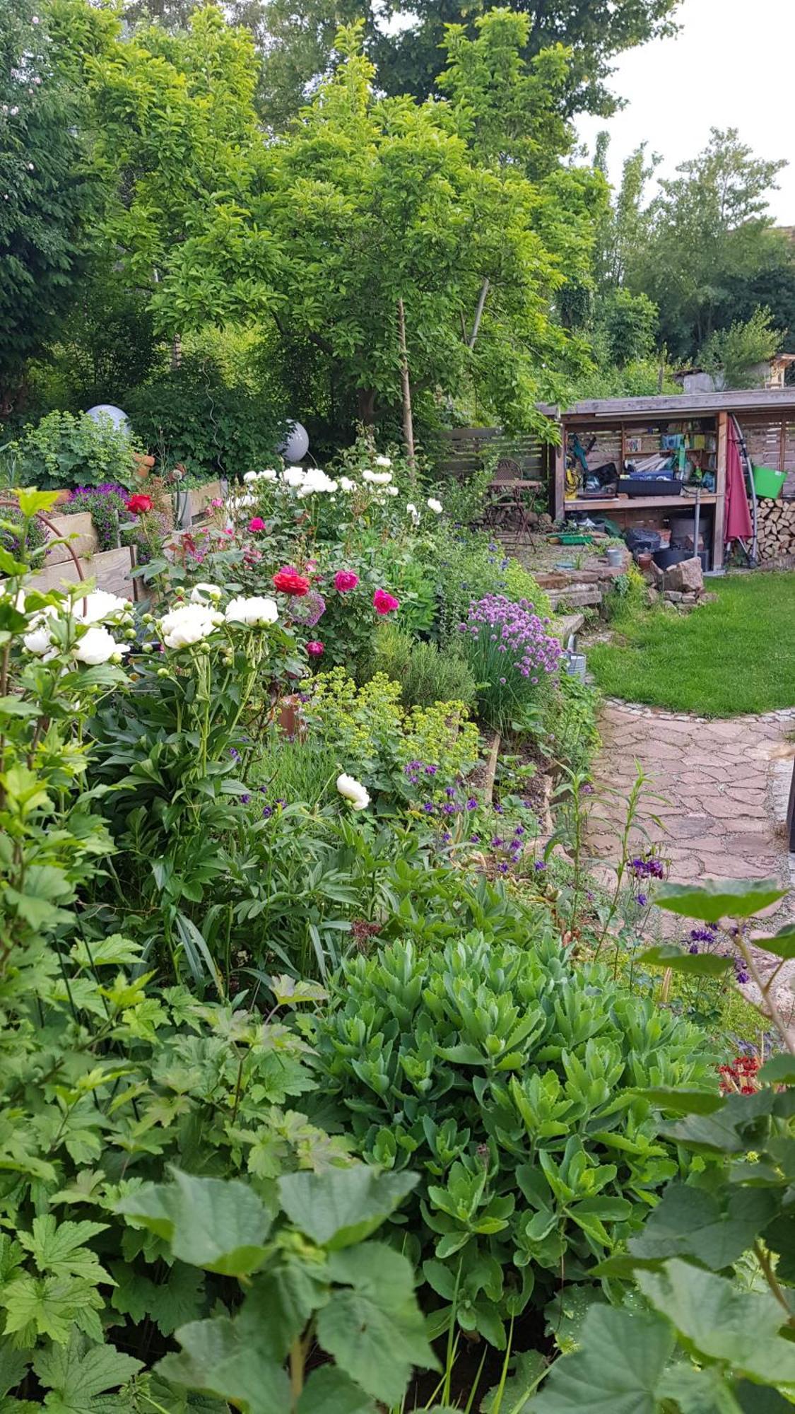 Wohnung Mit Sauna, Garten & Schwimmteich Bietigheim-Bissingen Kültér fotó