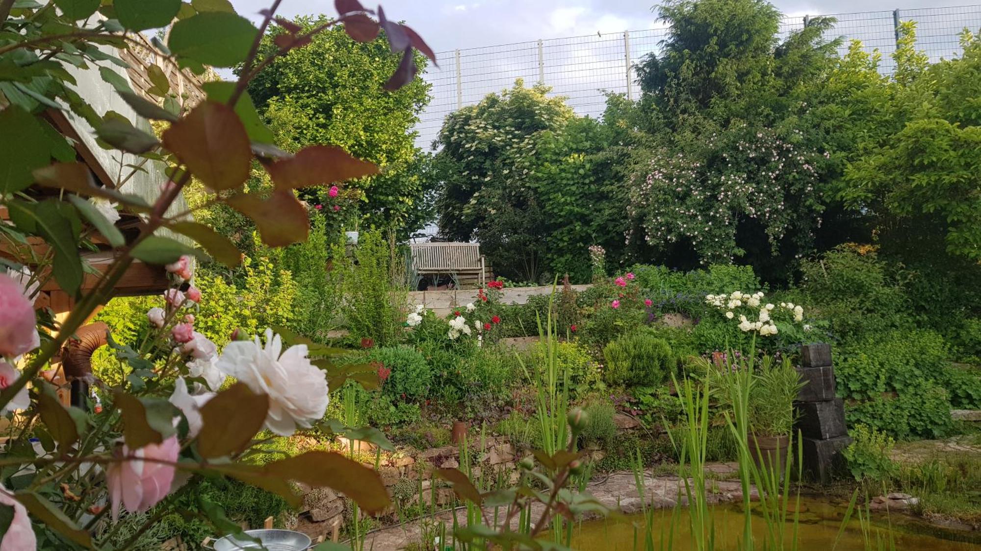 Wohnung Mit Sauna, Garten & Schwimmteich Bietigheim-Bissingen Kültér fotó
