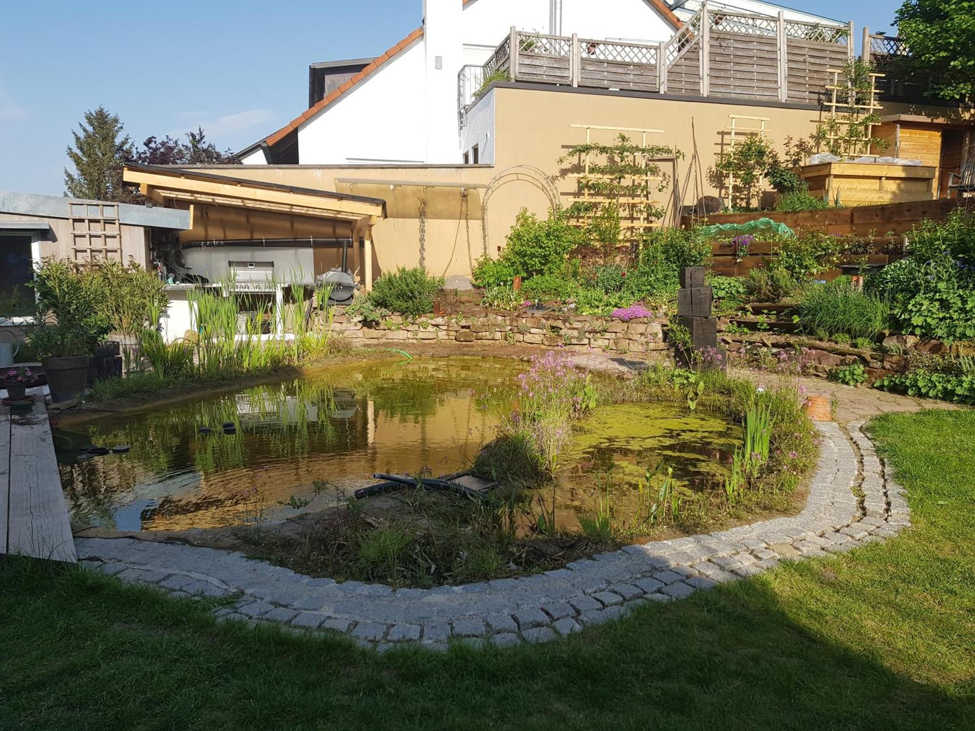 Wohnung Mit Sauna, Garten & Schwimmteich Bietigheim-Bissingen Kültér fotó