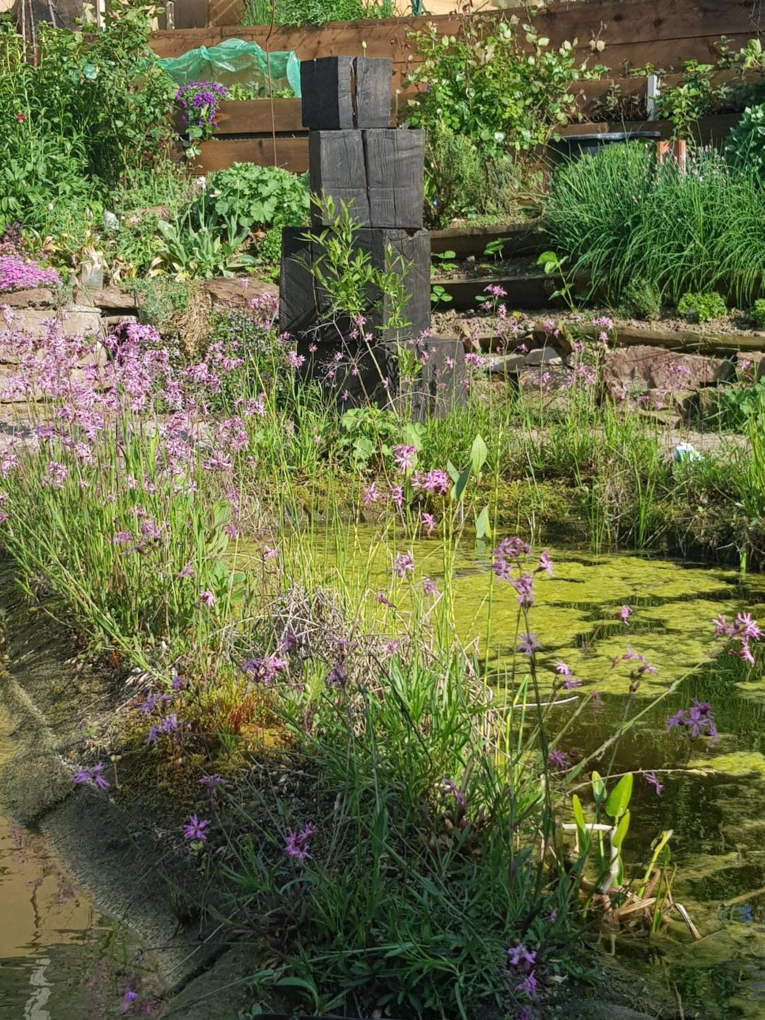 Wohnung Mit Sauna, Garten & Schwimmteich Bietigheim-Bissingen Kültér fotó