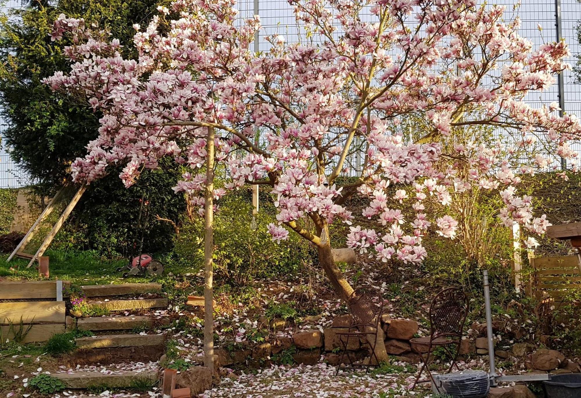 Wohnung Mit Sauna, Garten & Schwimmteich Bietigheim-Bissingen Kültér fotó