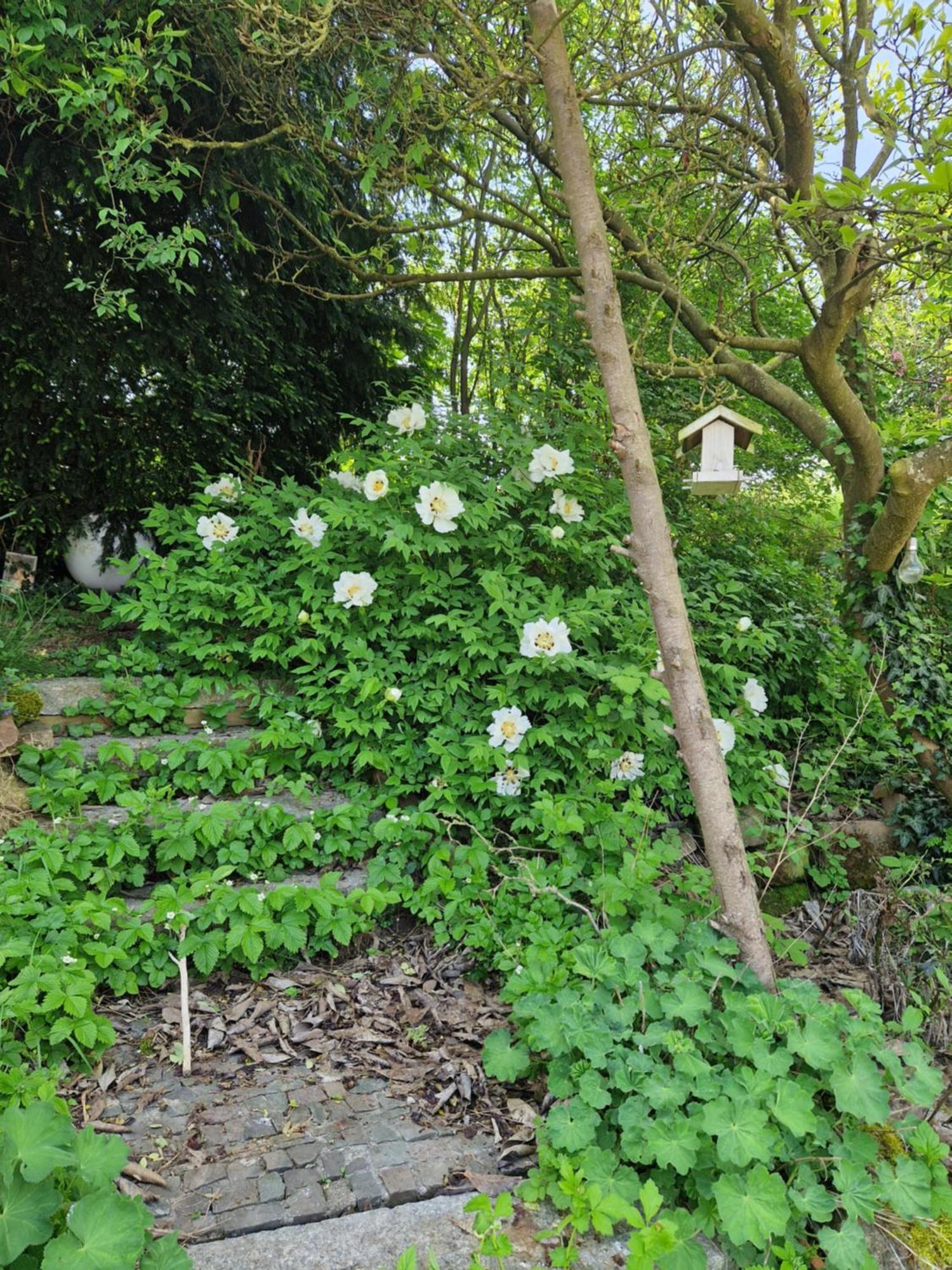 Wohnung Mit Sauna, Garten & Schwimmteich Bietigheim-Bissingen Kültér fotó